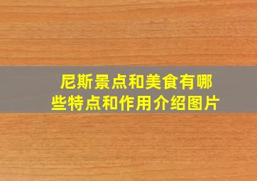 尼斯景点和美食有哪些特点和作用介绍图片