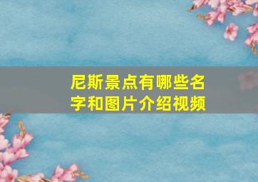 尼斯景点有哪些名字和图片介绍视频