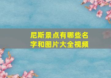 尼斯景点有哪些名字和图片大全视频