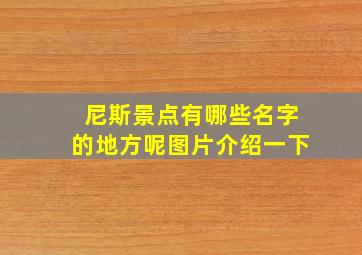 尼斯景点有哪些名字的地方呢图片介绍一下