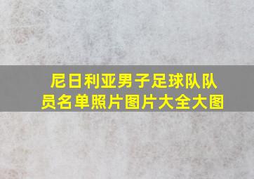 尼日利亚男子足球队队员名单照片图片大全大图