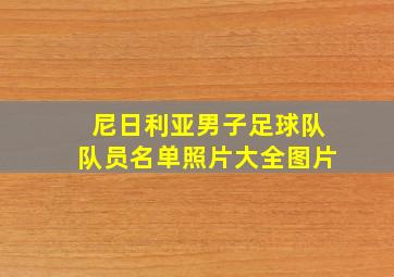 尼日利亚男子足球队队员名单照片大全图片