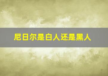 尼日尔是白人还是黑人