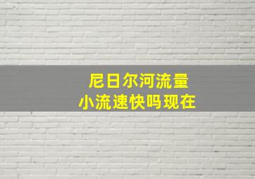 尼日尔河流量小流速快吗现在