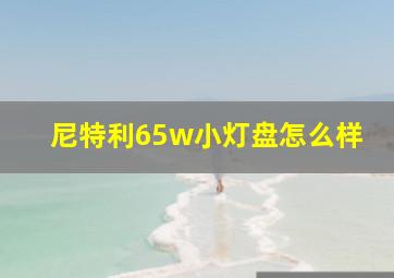 尼特利65w小灯盘怎么样