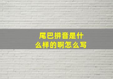 尾巴拼音是什么样的啊怎么写