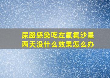 尿路感染吃左氧氟沙星两天没什么效果怎么办