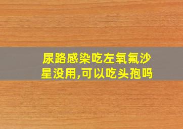 尿路感染吃左氧氟沙星没用,可以吃头孢吗