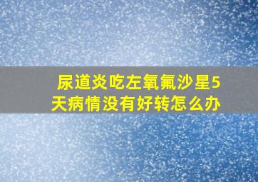 尿道炎吃左氧氟沙星5天病情没有好转怎么办