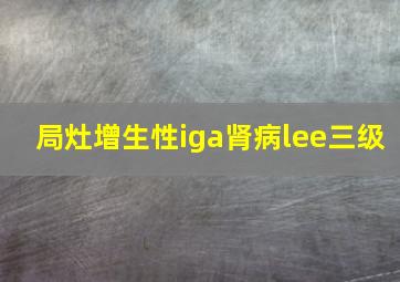 局灶增生性iga肾病lee三级