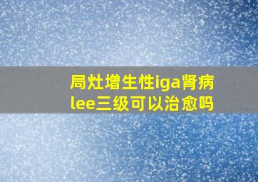 局灶增生性iga肾病lee三级可以治愈吗