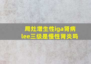 局灶增生性iga肾病lee三级是慢性肾炎吗