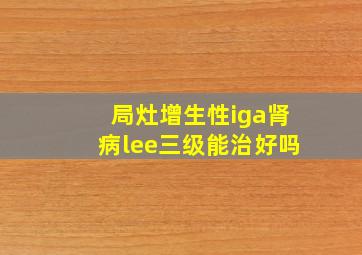 局灶增生性iga肾病lee三级能治好吗