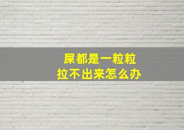 屎都是一粒粒拉不出来怎么办