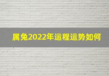 属兔2022年运程运势如何