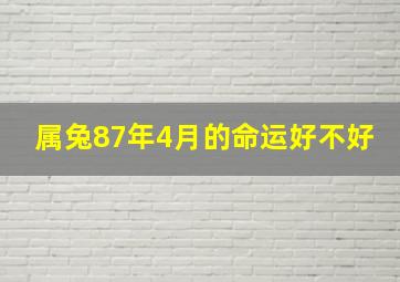 属兔87年4月的命运好不好