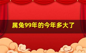 属兔99年的今年多大了