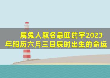 属兔人取名最旺的字2023年阳历六月三日辰时出生的命运