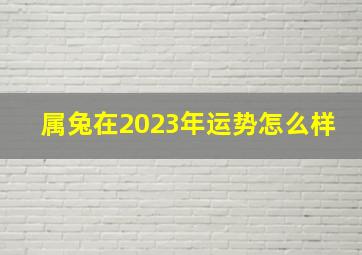 属兔在2023年运势怎么样