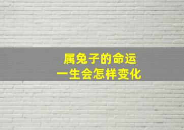 属兔子的命运一生会怎样变化