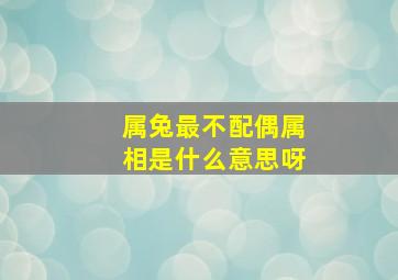 属兔最不配偶属相是什么意思呀