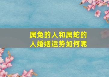 属兔的人和属蛇的人婚姻运势如何呢