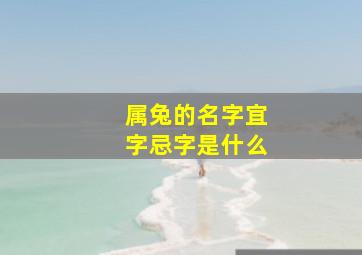 属兔的名字宜字忌字是什么