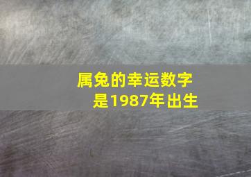 属兔的幸运数字是1987年出生