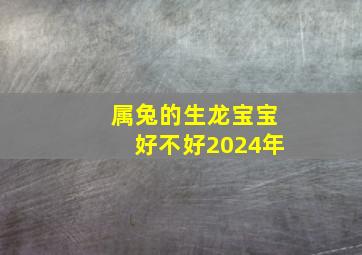 属兔的生龙宝宝好不好2024年