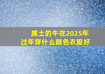 属土的牛在2025年过年穿什么颜色衣服好