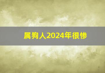 属狗人2024年很惨