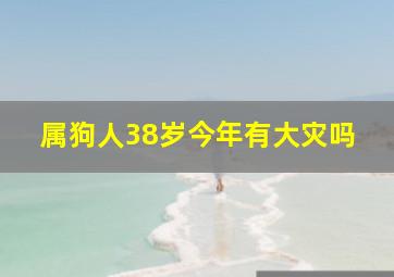 属狗人38岁今年有大灾吗