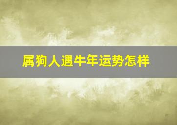 属狗人遇牛年运势怎样