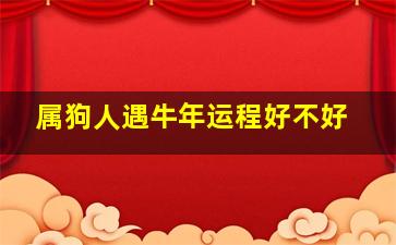 属狗人遇牛年运程好不好