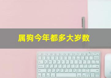 属狗今年都多大岁数