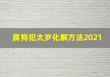 属狗犯太岁化解方法2021