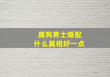 属狗男士婚配什么属相好一点