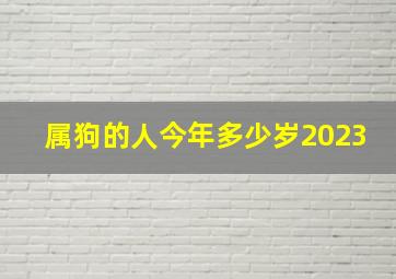 属狗的人今年多少岁2023