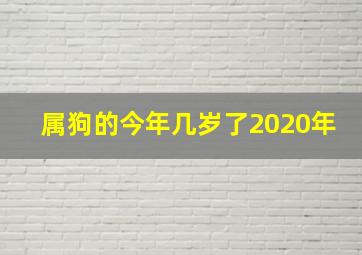 属狗的今年几岁了2020年