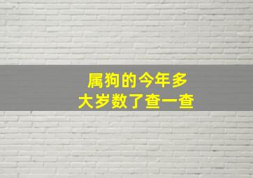 属狗的今年多大岁数了查一查