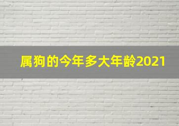 属狗的今年多大年龄2021