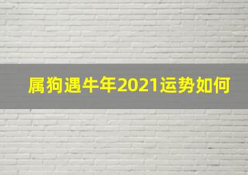 属狗遇牛年2021运势如何