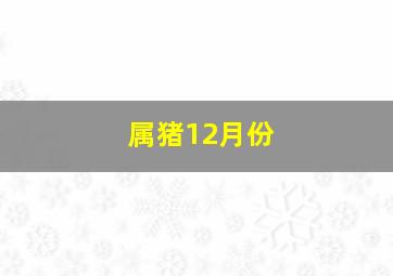 属猪12月份