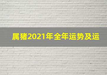 属猪2021年全年运势及运