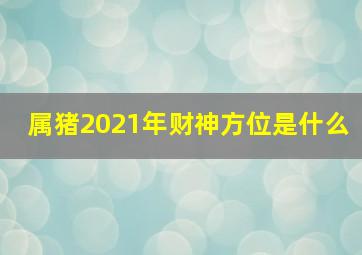 属猪2021年财神方位是什么