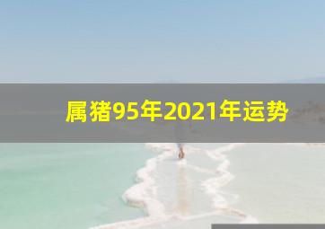 属猪95年2021年运势