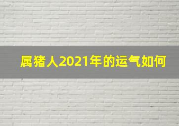 属猪人2021年的运气如何