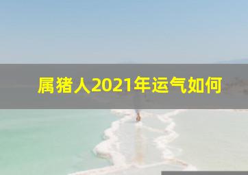 属猪人2021年运气如何