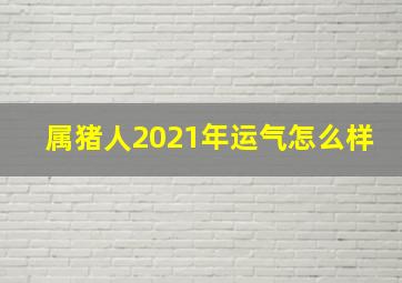 属猪人2021年运气怎么样