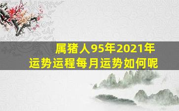 属猪人95年2021年运势运程每月运势如何呢